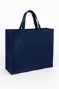 Non Woven Carrier Bag